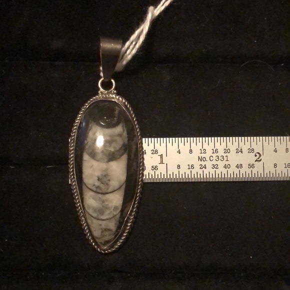 Sterling Silver Orthosaurus Fossil Pendant - Picture 3 of 5